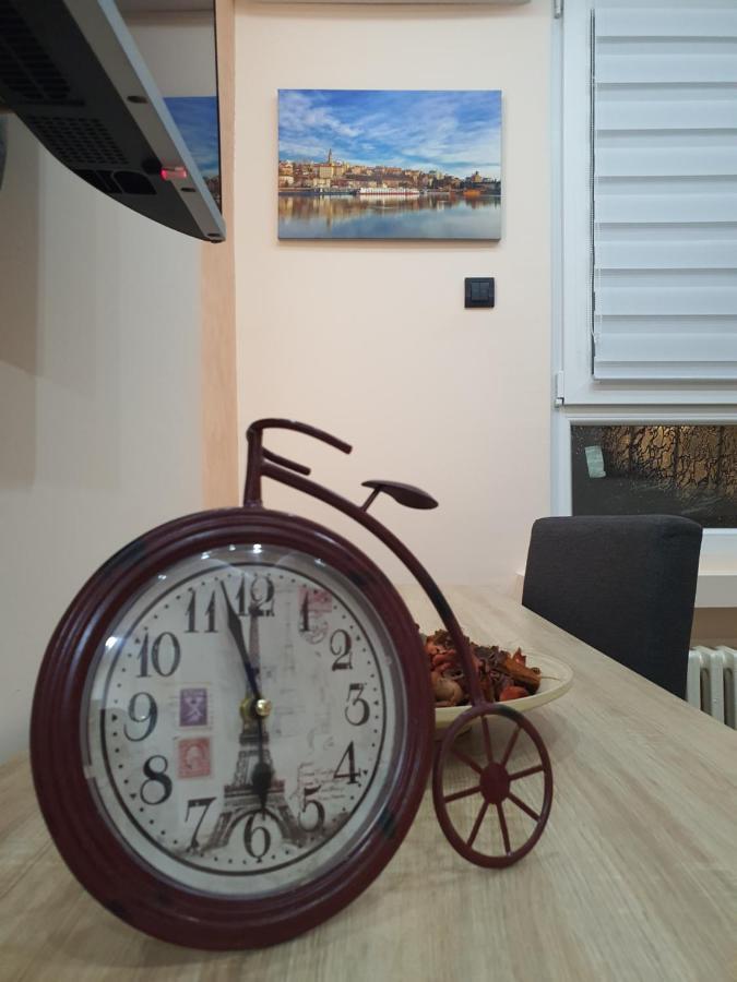 Apartman Dodolu ベオグラード エクステリア 写真