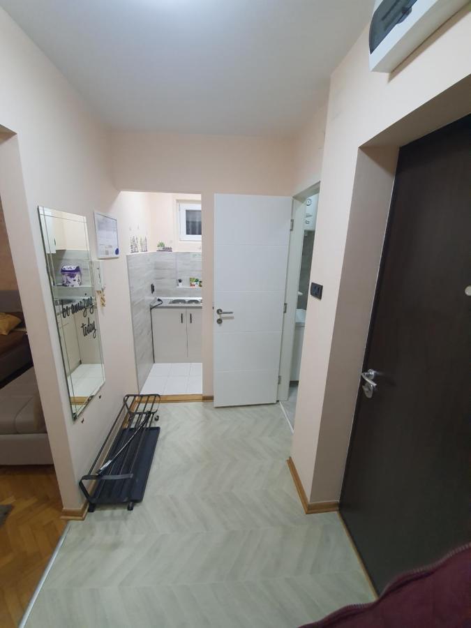 Apartman Dodolu ベオグラード エクステリア 写真