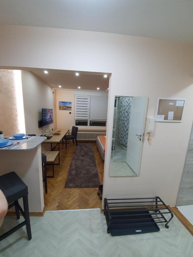 Apartman Dodolu ベオグラード エクステリア 写真